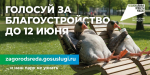 Новороссийцы, ваш голос – залог изменений в любимом городе!