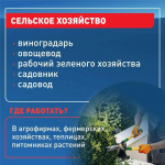 Девятиклассники Кубани без аттестата смогут освоить 26 востребованных профессий