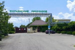 Кубанский производитель рисовой крупы приступил к перенастройке процессов