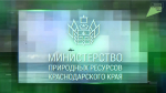 Министерство природных ресурсов Краснодарского края о необходимости соблюдения правил поведения в лесах