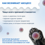 Абсцесс у кошки