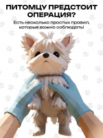 Питомцу предстоит операция?