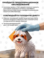 Питомцу предстоит операция?
