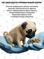 Питомцу предстоит операция?