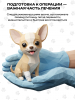Питомцу предстоит операция?