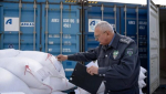 Многоядную муху-горбатку нашли в 54 тоннах индийского риса в Новороссийске