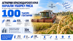 Аграрии приступили к уборке риса на Кубани