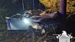 Водитель и пассажир пострадали в ДТП с лосем в Ленобласти