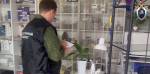 В салоне красоты Анапы мужчина напал с ножом на парикмахера